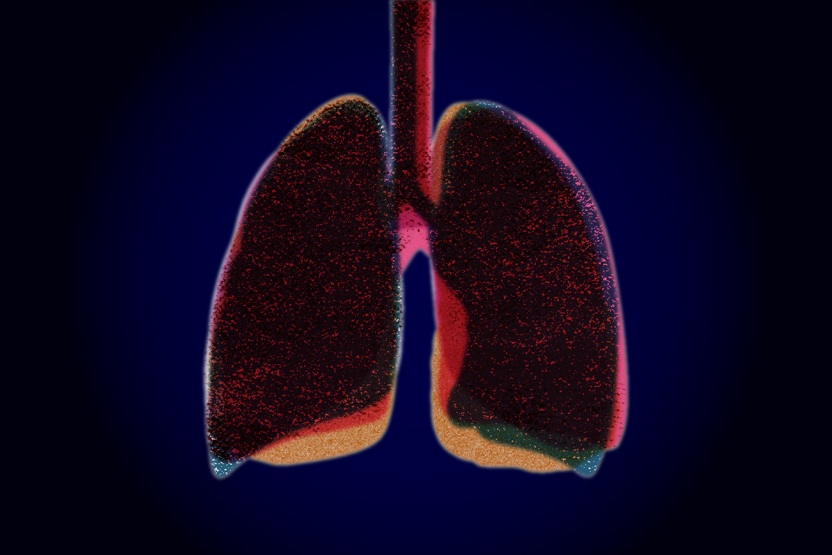 Ilustracija pljuč